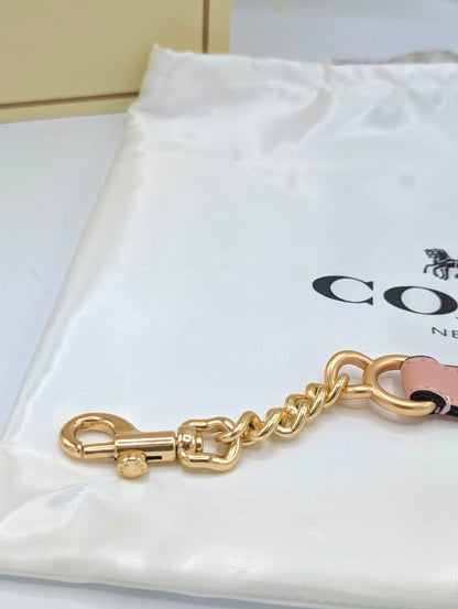 Coach Teri Shoulder Bag ( with Dust bag and Box )