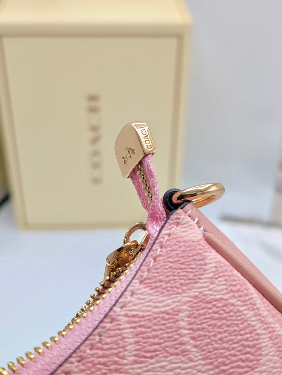 Coach Teri Shoulder Bag ( with Dust bag and Box )