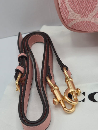 Coach Teri Shoulder Bag ( with Dust bag and Box )