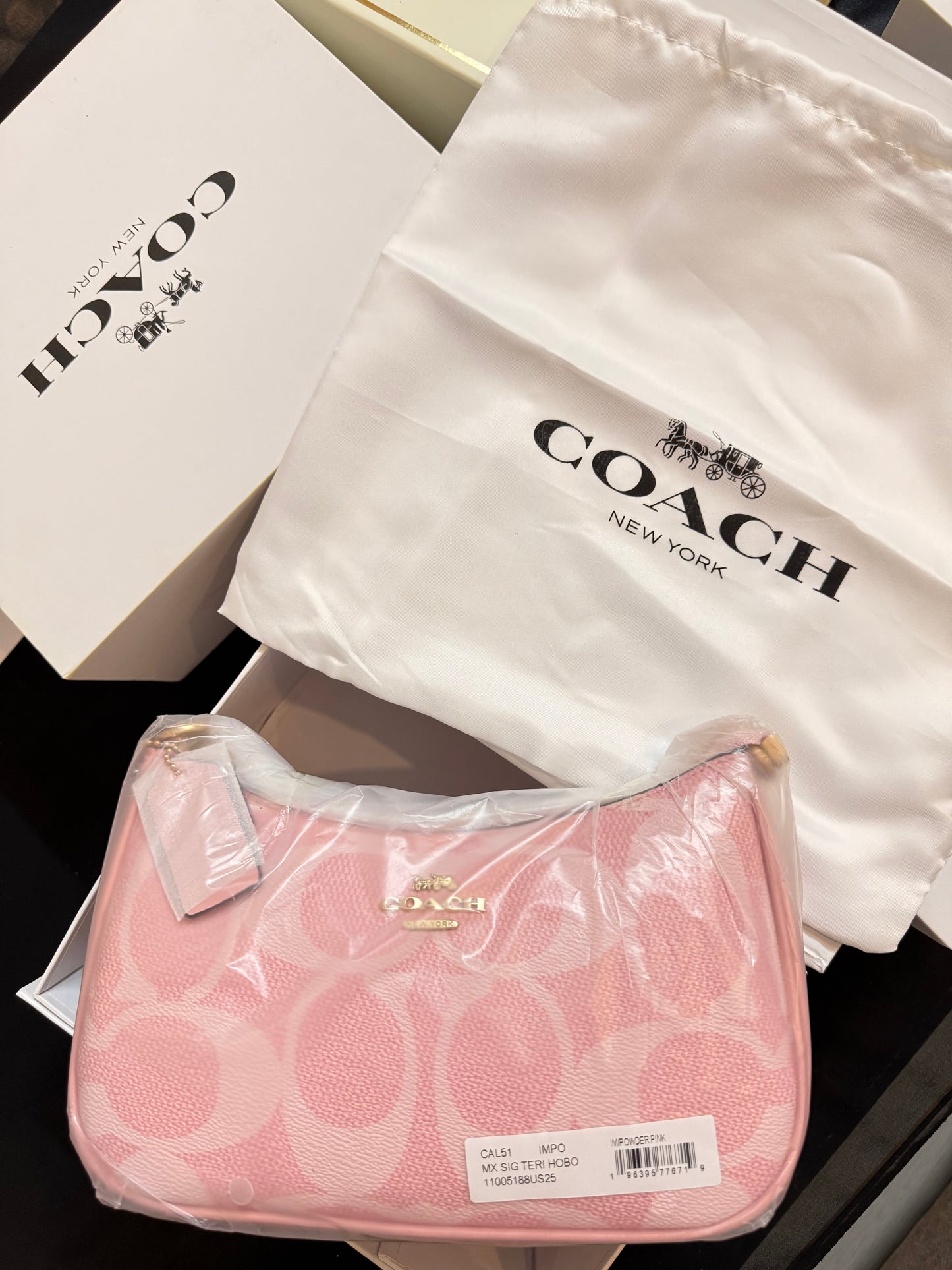 Coach Teri Shoulder Bag ( with Dust bag and Box )